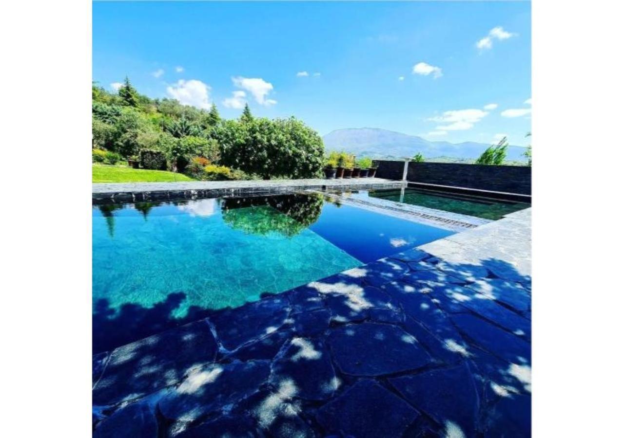 Willa Privacy Eco Of 2023 @ Teg Hill