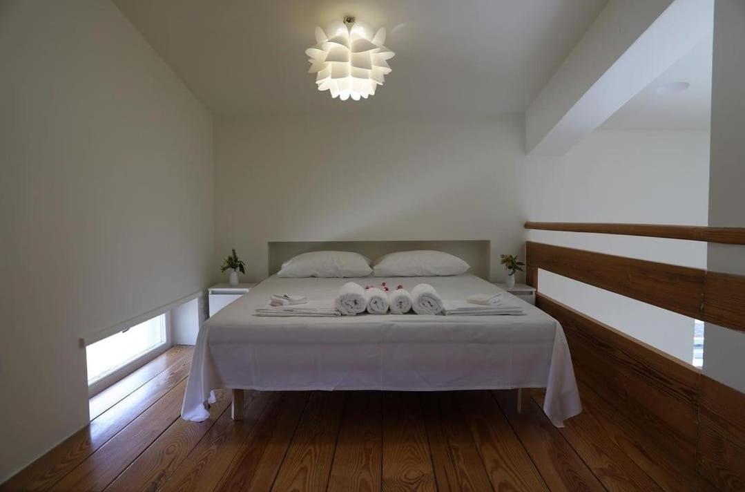 Privacy Eco Of 2023 @ Teg Hill Villa Tirana