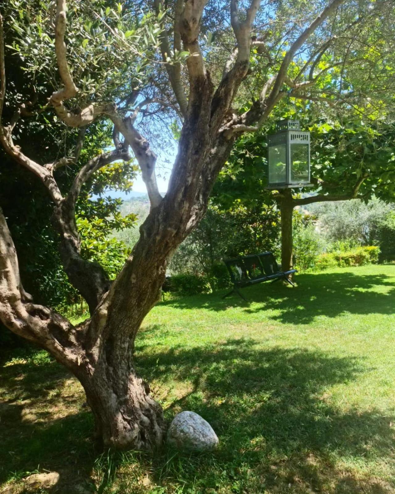 Privacy Eco Of 2023 @ Teg Hill Willa *